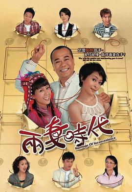 两妻时代国语封面图