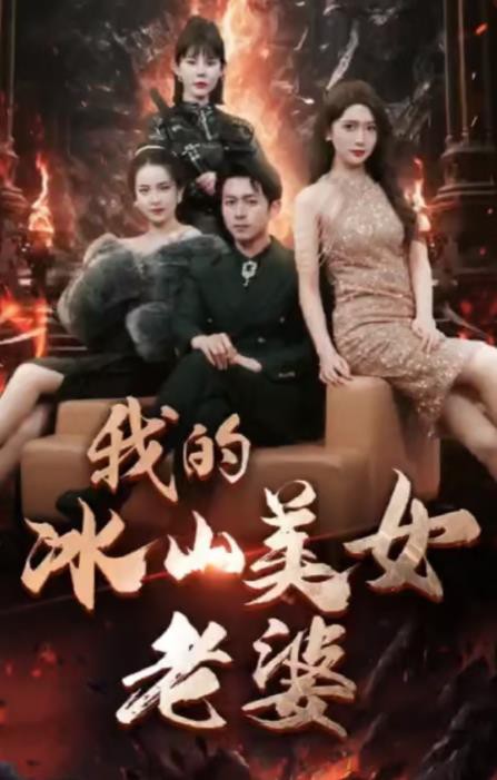 我的冰山美女老婆封面图