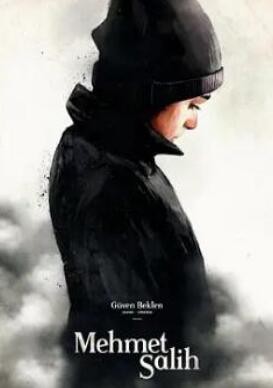 穆罕默德·萨利赫封面图