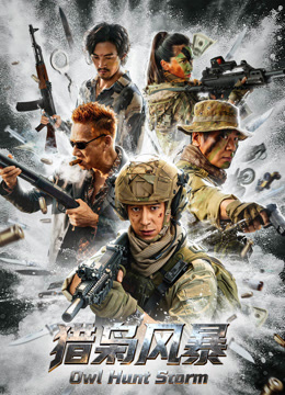 猎枭风暴封面图