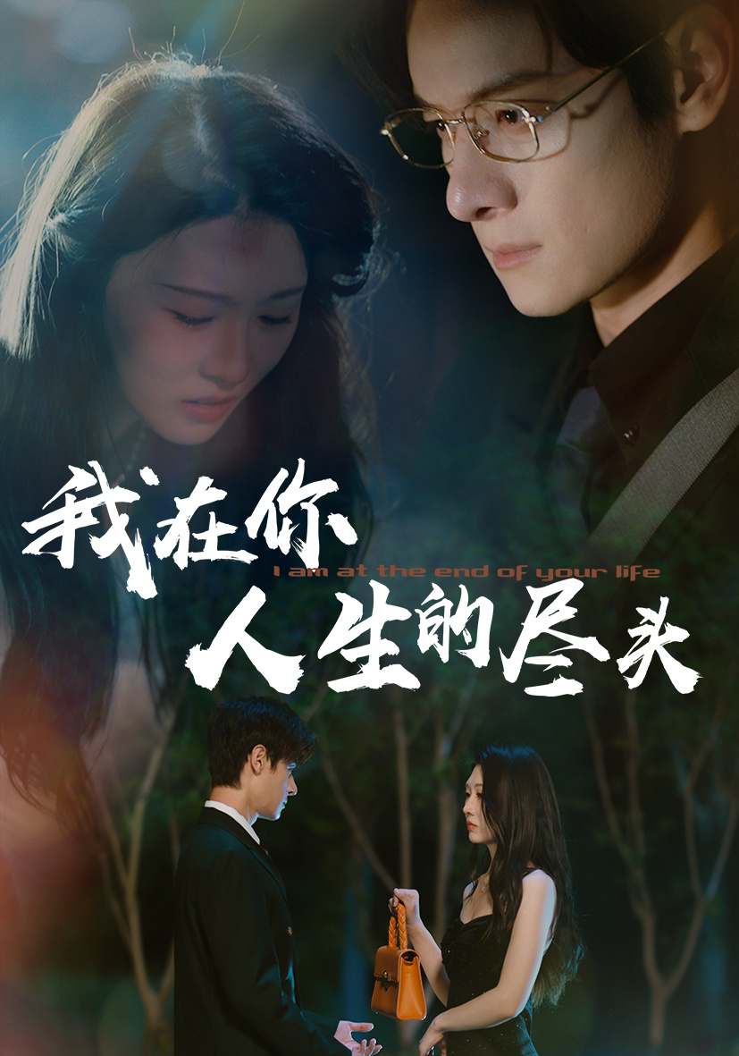 我在你人生的尽头封面图