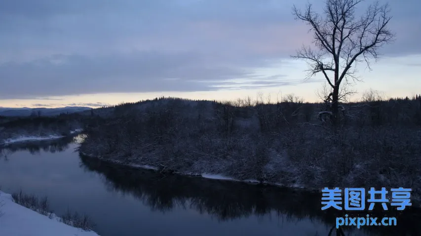 雪地里的河流景色，背景是树木和山脉