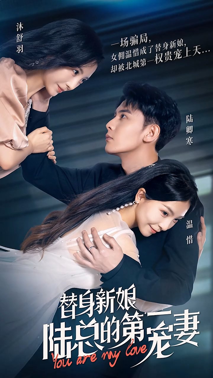 替身新娘：陆总的第一宠妻封面图