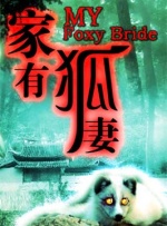 家有狐妻封面图