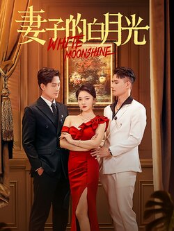 妻子的白月光封面图