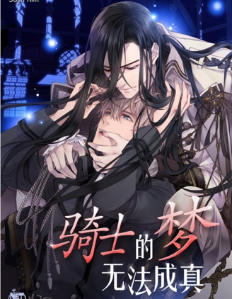 骑士的梦无法成真