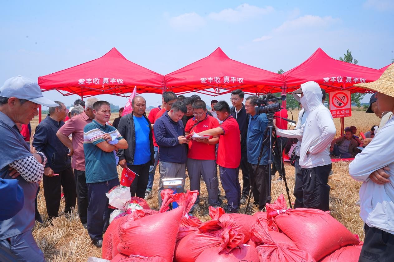 测产现场|爱丰收实打实收，一亩增产200余斤