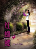 红蝴蝶封面图