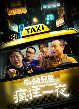 麻辣兄弟之疯狂一夜封面图