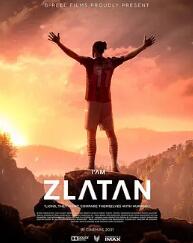 我是兹拉坦封面图