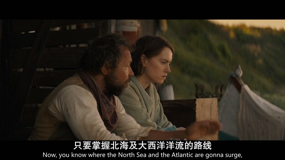 2024运动传记《泳者之心》HD1080P.英语中英双字截图