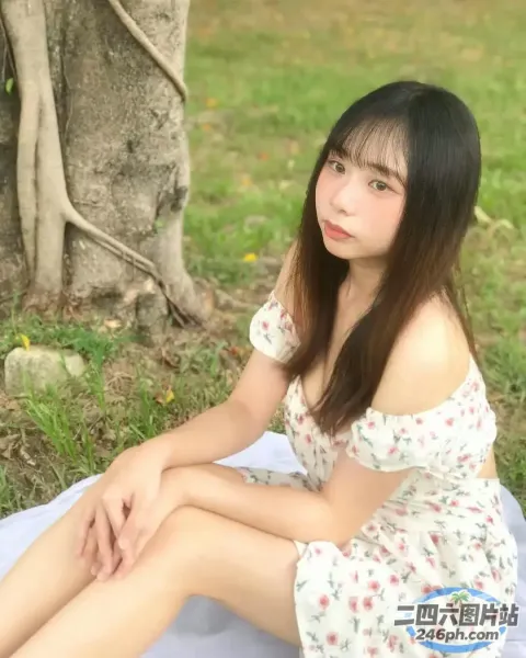 阿拉菲女人坐在公园的毯子上，背景是一棵树