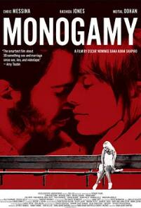 一夫一妻制2010封面图