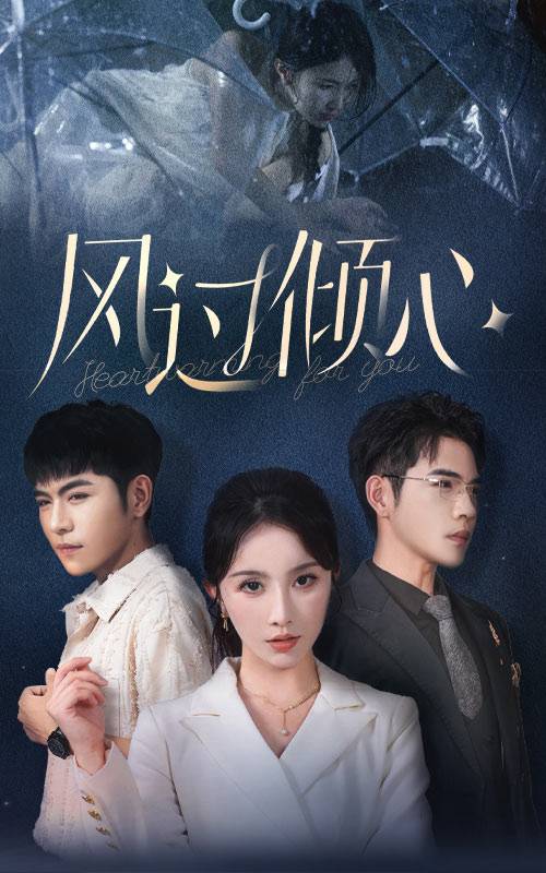 风过倾心封面图