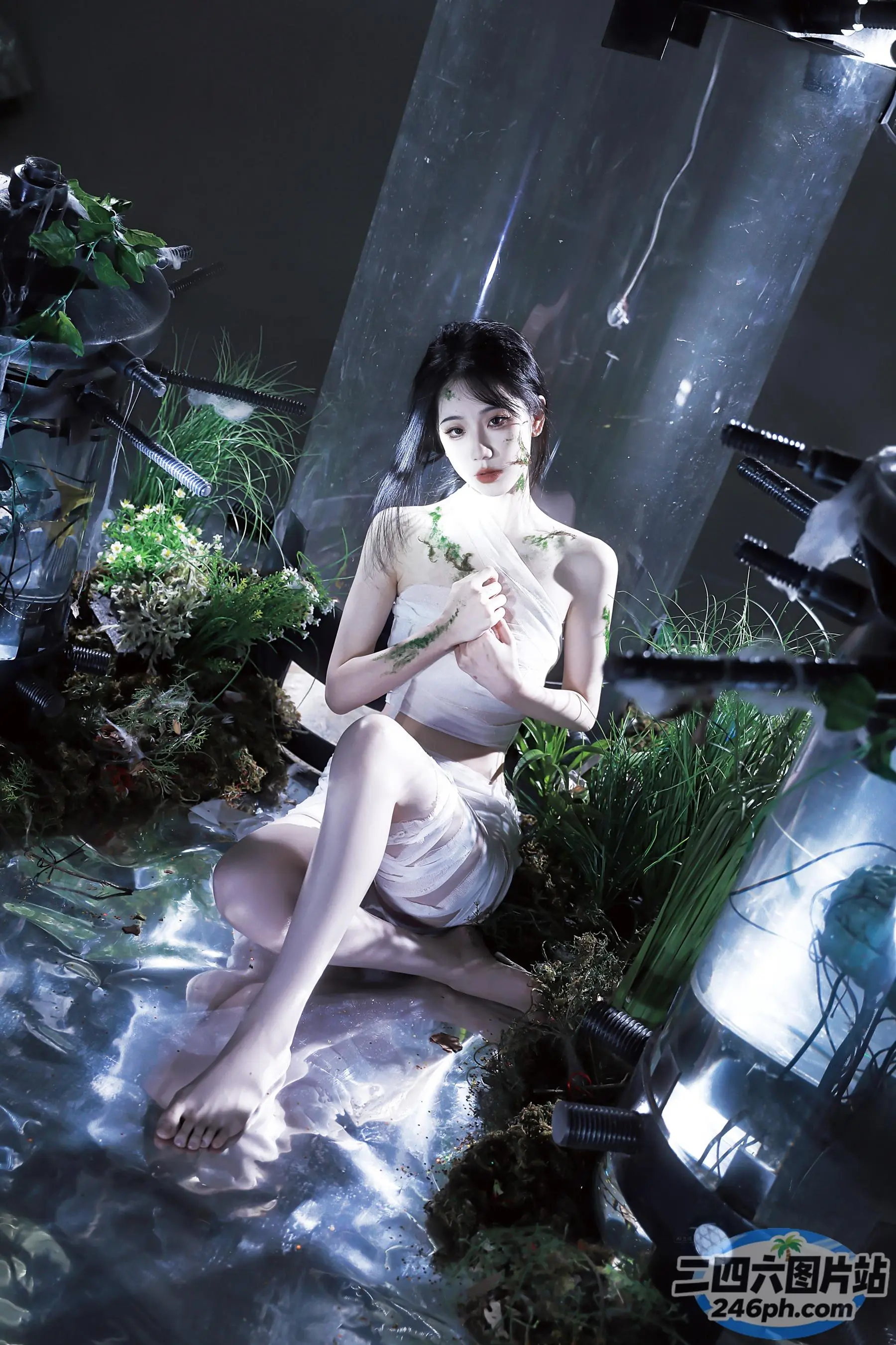 阿拉夫德女人坐在一块石头上，手里拿着一朵花