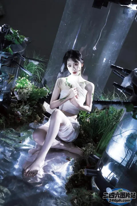 阿拉夫德女人坐在一块石头上，手里拿着一朵花