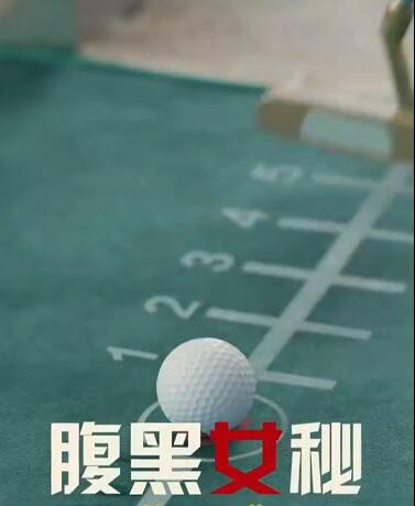 腹黑女秘封面图