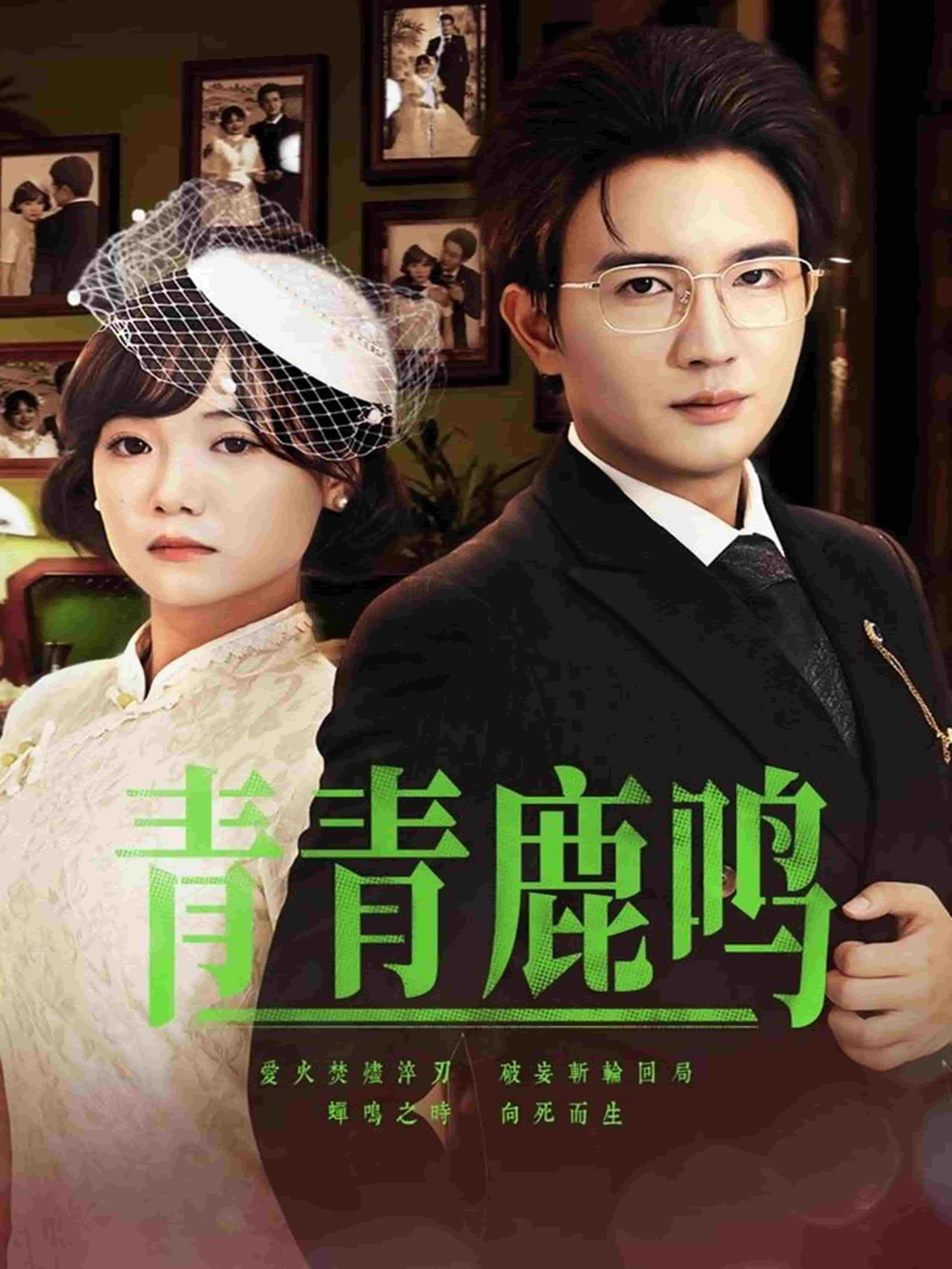 青青鹿鸣封面图