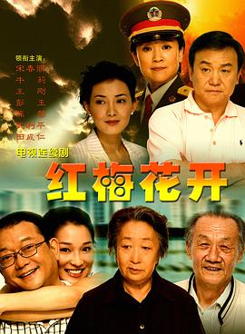 红梅花开2007封面图