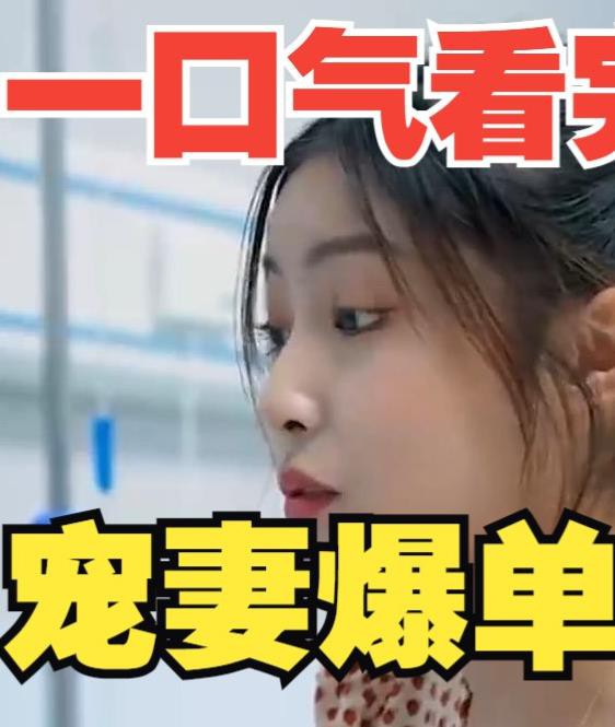 宠妻爆单封面图