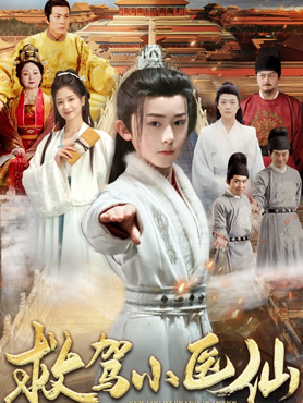 救驾小医仙封面图