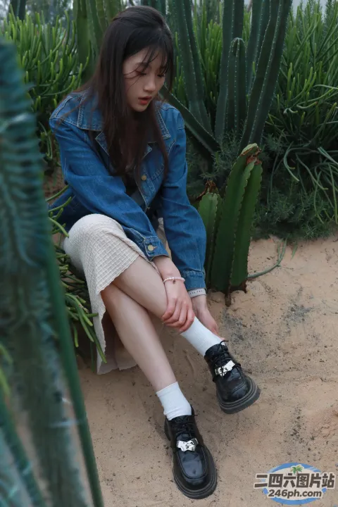 Araffe 坐在仙人掌植物前的长凳上