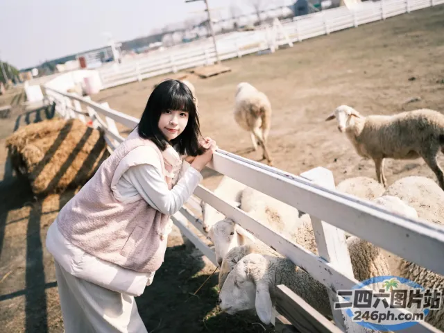 有一个女人站在篱笆旁边，羊群