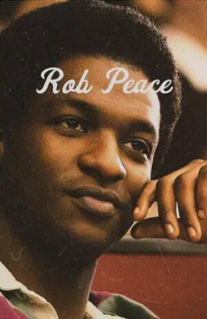 被盗的和平封面图