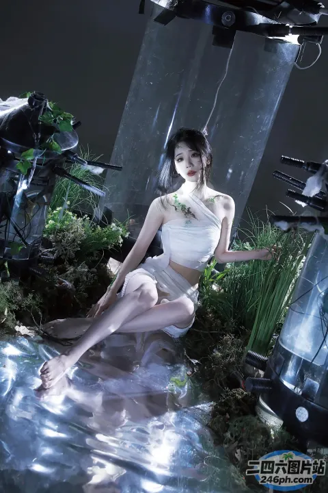 坐在水池岩石上的阿拉夫德女人