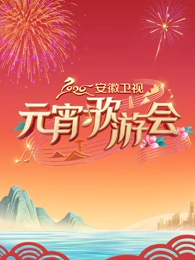 安徽卫视元宵歌游会封面图