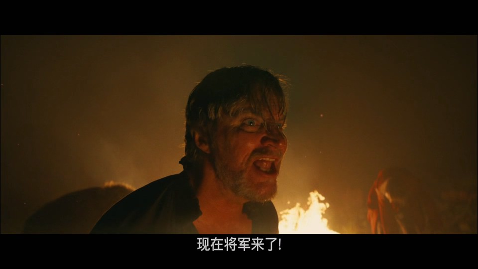 2023历史传记《杂种》BD1080P.丹麦语中字截图