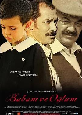 我的父亲，我的儿子封面图