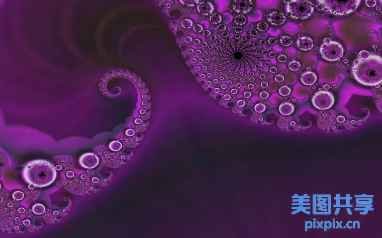 紫色和黑色 Fram F