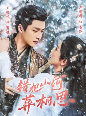 错把山河葬相思封面图