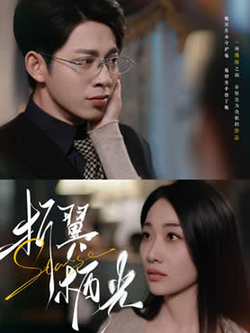 折翼栖光封面图