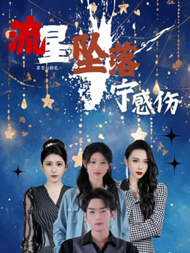 流星坠落宁感伤封面图