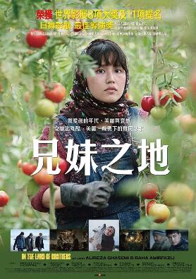 同一片土地封面图