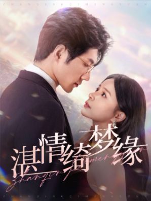 沉沦 湛情琦梦缘封面图