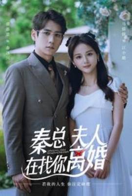 秦总夫人在找你离婚封面图