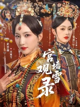 宫墙观雪录封面图