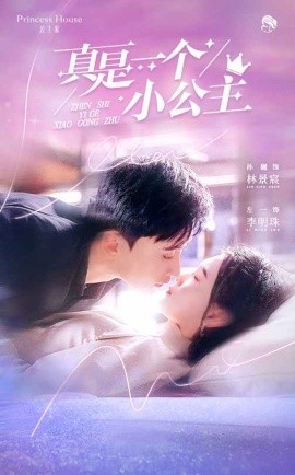 真是一个小公主封面图