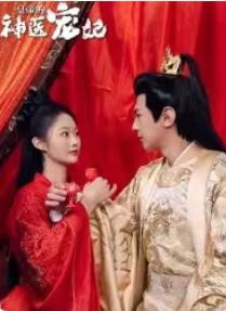 皇帝的神医宠妃封面图