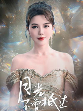 月光不曾抵达封面图