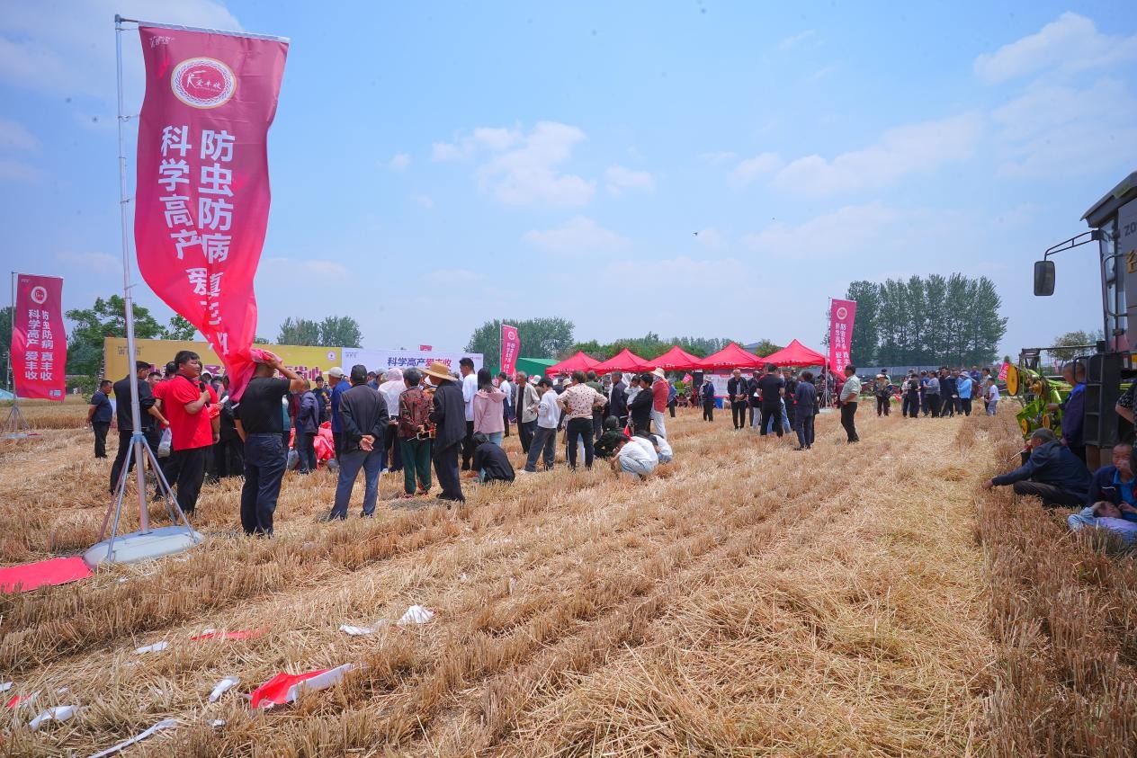 测产现场|爱丰收实打实收，一亩增产200余斤