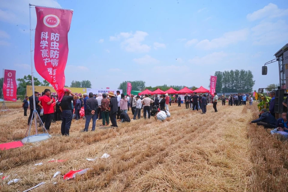 测产现场|爱丰收实打实收，一亩增产200余斤