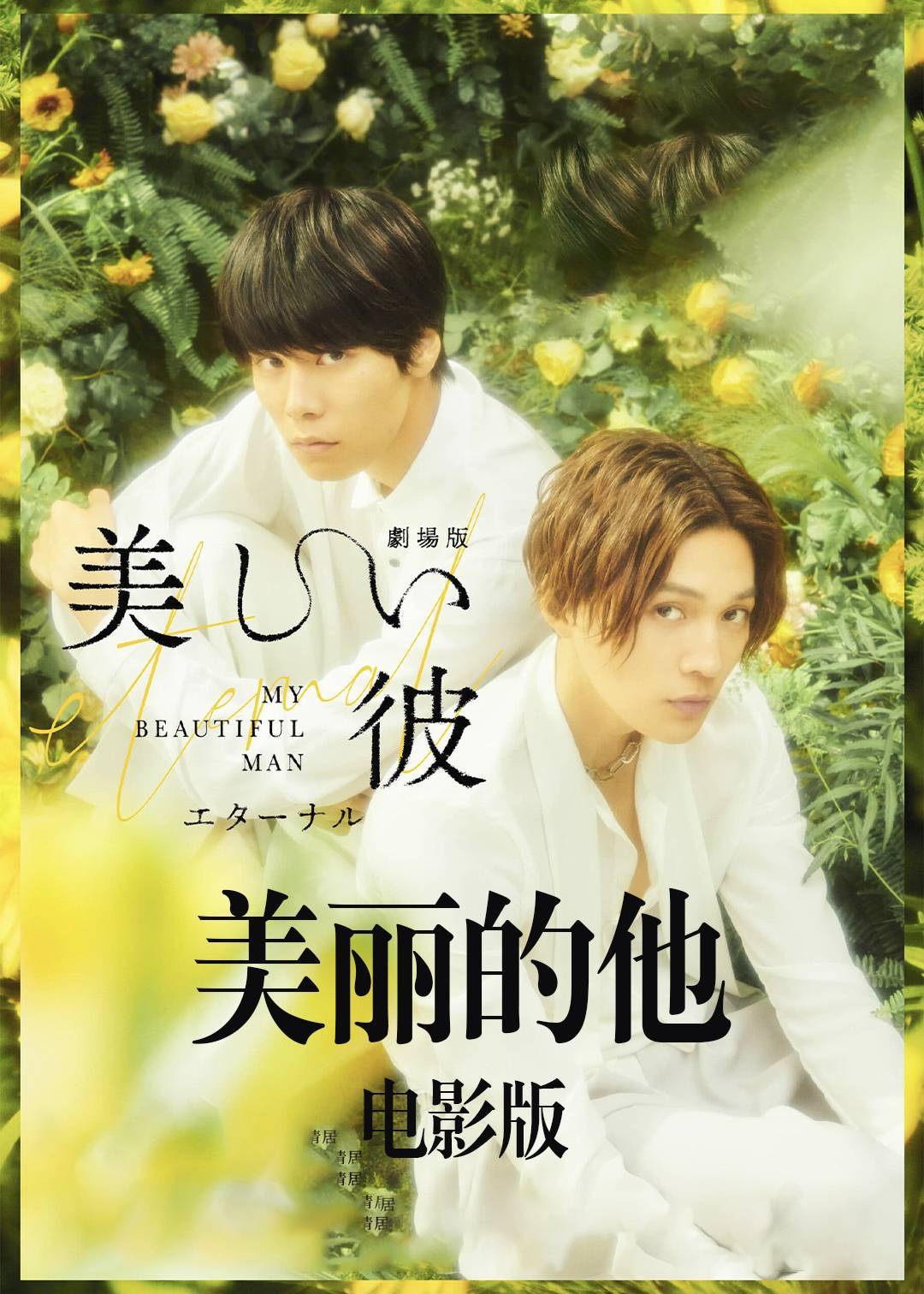 美丽的他封面图