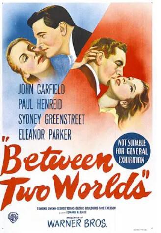 阴阳之间封面图