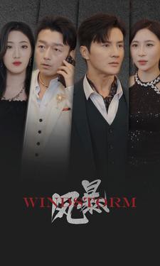 风暴 短剧版封面图