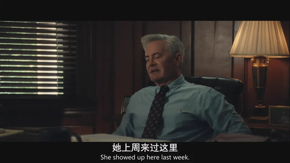 2025惊悚剧情《回声谷》HD1080P.英语中英双字截图