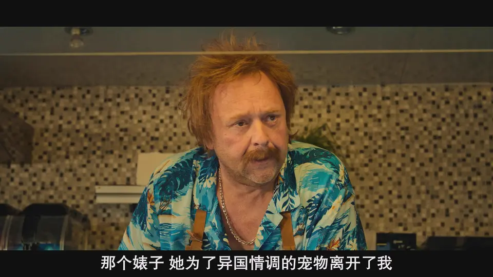 2025悬疑喜剧《凹凸双雄》HD1080P.荷兰语中字截图